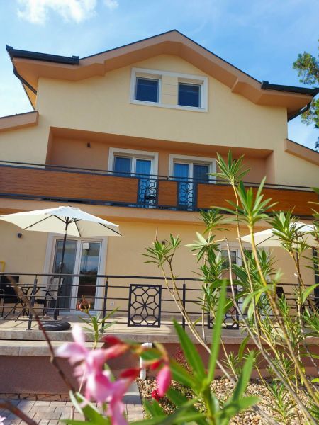 Papuli rooms 4U 4