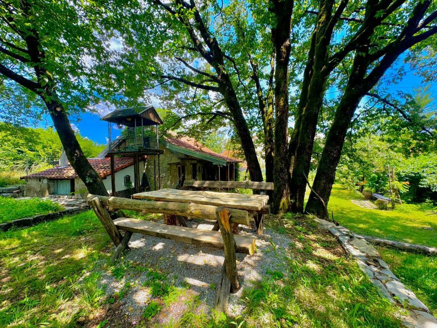 Artistic House Cetinje 5