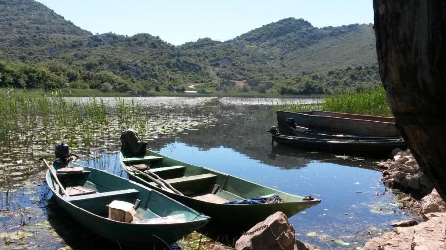 Lake House Puro 5
