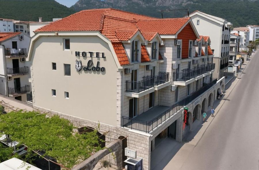 Hotel Lobo 1